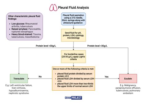 laboratory analysis of pleural fluid|pleural fluid studies interpretation.